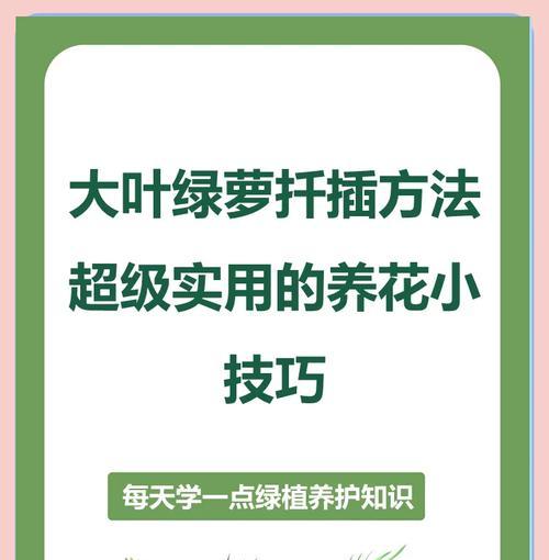 绿萝水培移植的正确步骤是什么？