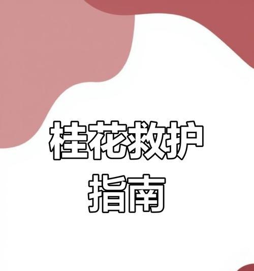桂花树叶子干枯的解决办法？