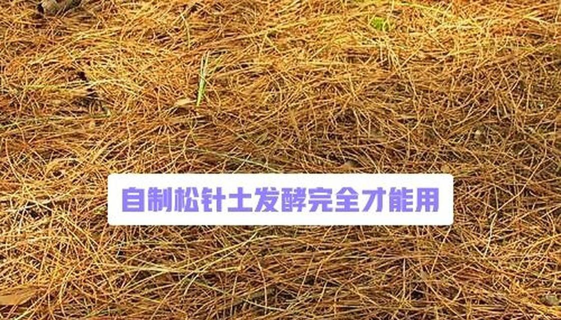 自制腐叶土的方法有哪些？