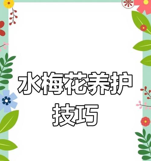 梅花小苗的正确养护方法是什么？