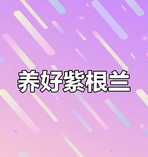 紫根兰开花的养殖方法和技巧是什么？