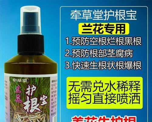 兰草施肥的最佳时机是什么时候？
