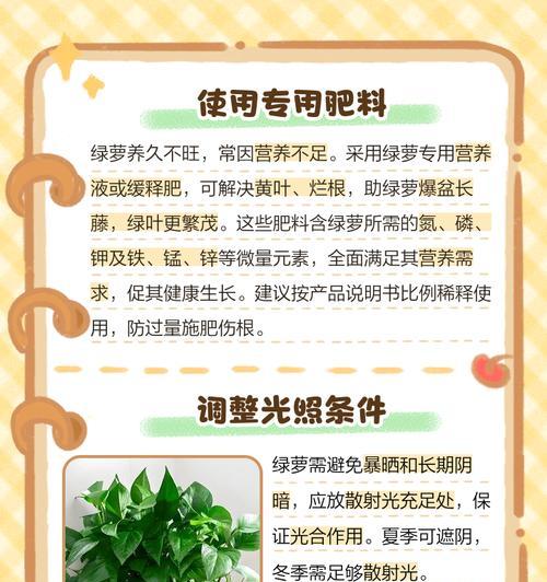 绿萝需要哪种肥料？施肥对绿萝生长的影响如何？