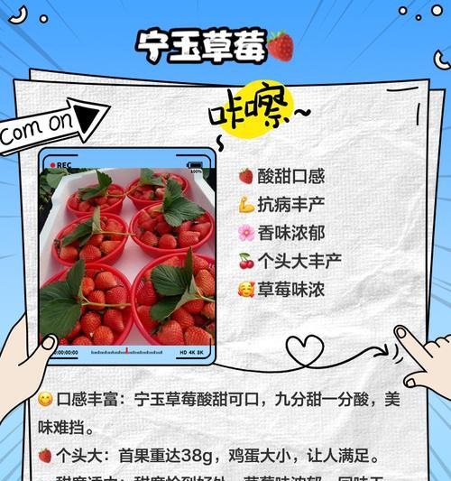 哪种草莓品种最甜？