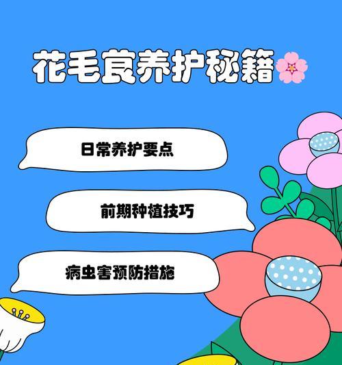 花毛茛的种植步骤是什么？如何避免常见问题？