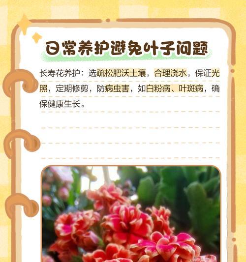 花卉叶片发黄的原因是什么？如何预防和解决花卉叶片发黄？