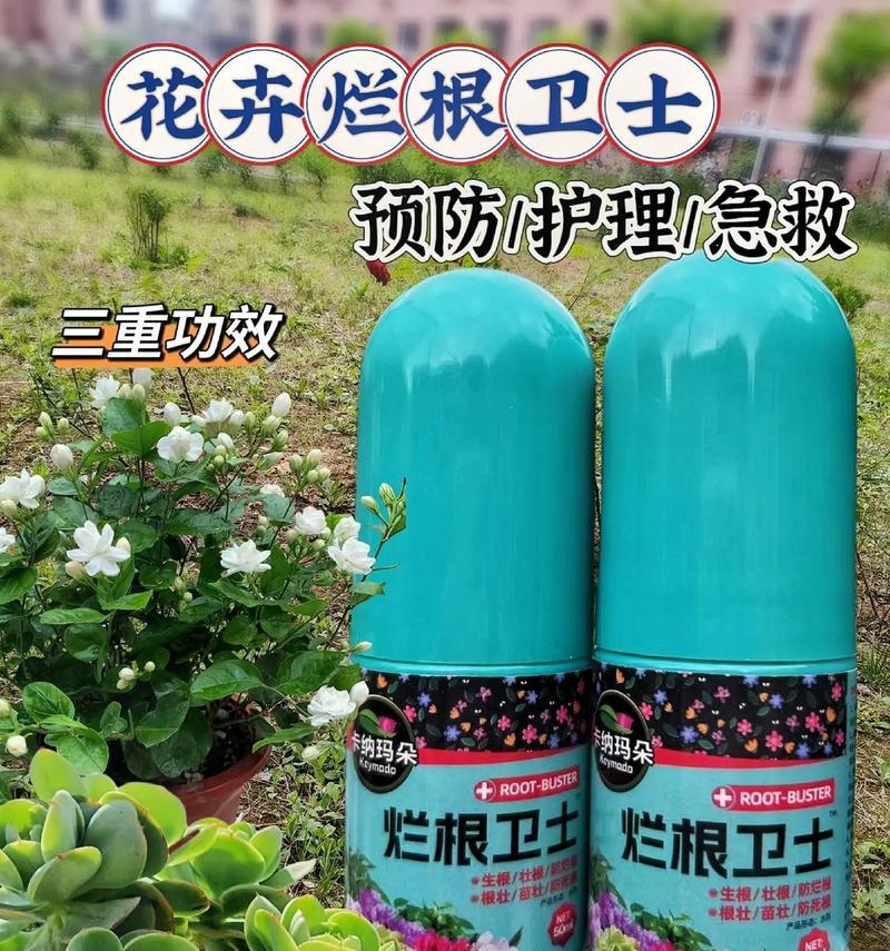 花卉叶片发黄的原因是什么？如何预防和解决花卉叶片发黄？