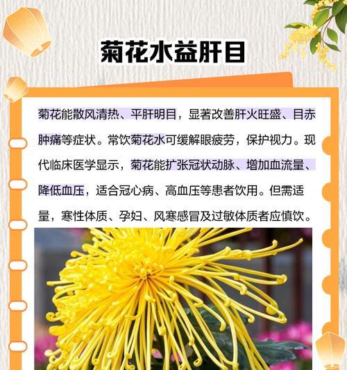 菊花的作用是什么？如何利用菊花？