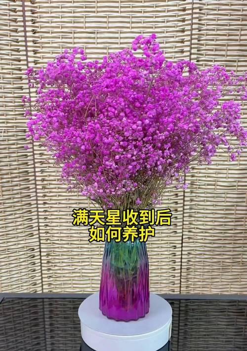 满天星插花技巧有哪些？如何制作美丽的满天星花束？