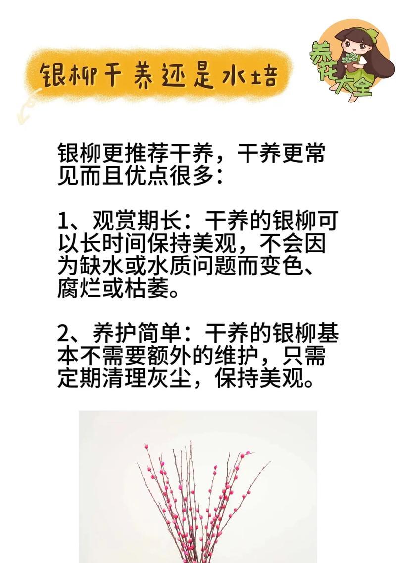 水培怎么养才能成功？水培植物养护的技巧？