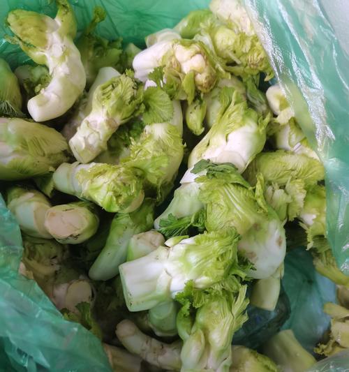 介菜有哪些品种？不同品种介菜的特点是什么？