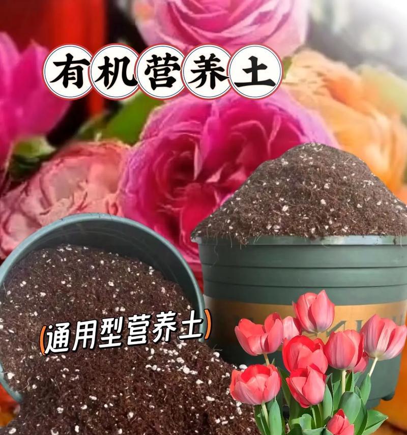 如何自制养花的营养土？需要哪些材料？