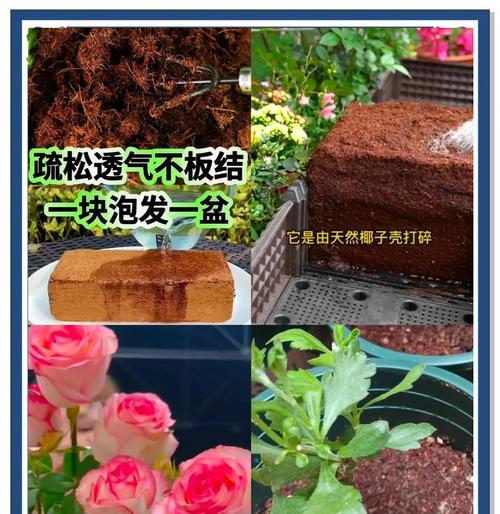 如何自制养花的营养土？需要哪些材料？