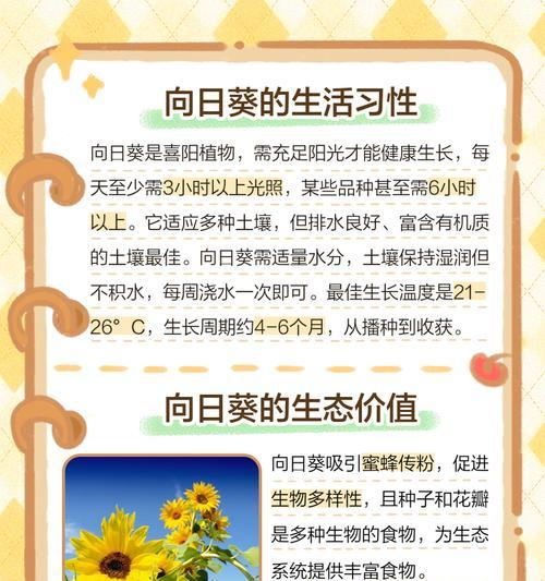 向日葵授粉的正确方法是什么？如何提高向日葵的授粉效率？