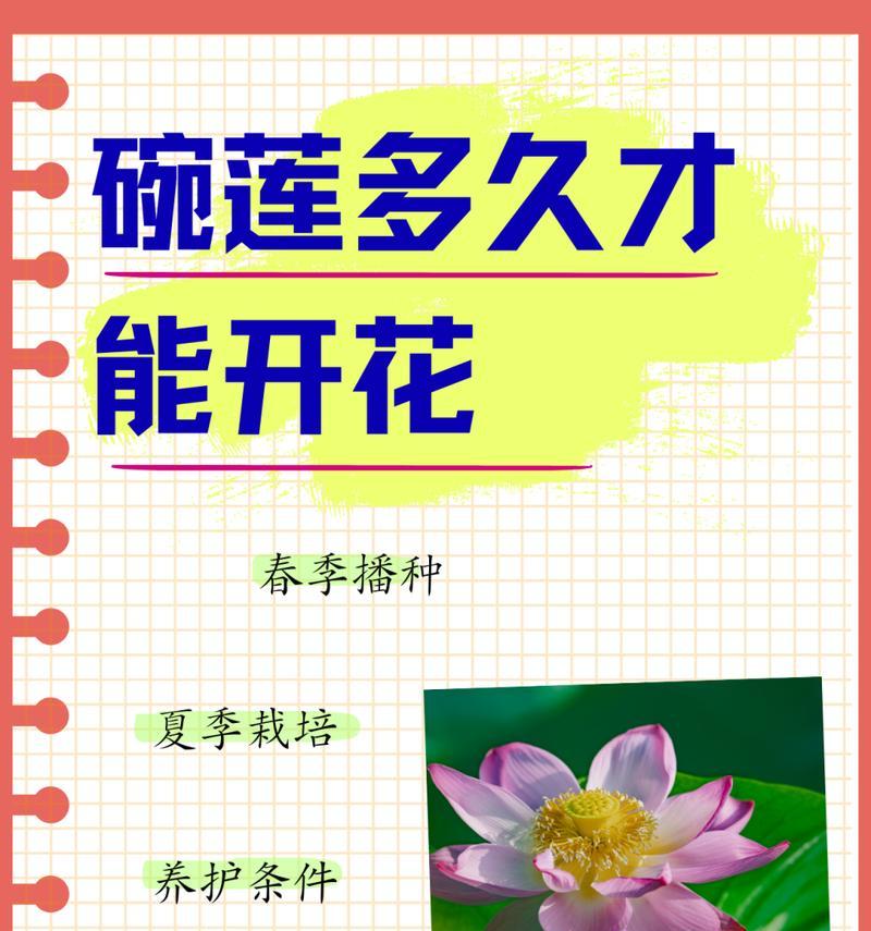 碗莲有哪些品种？各自的特性是什么？