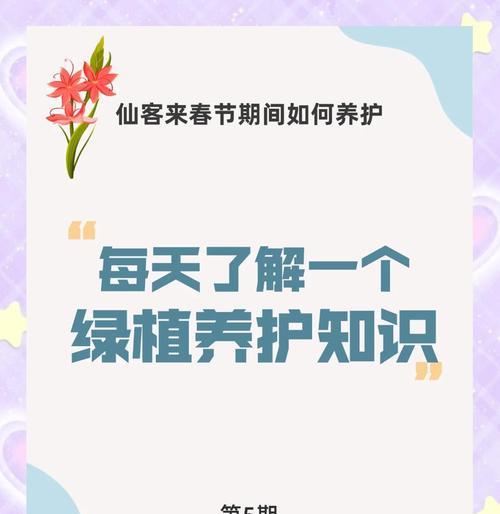 仙客来换盆的最佳时机是什么时候？
