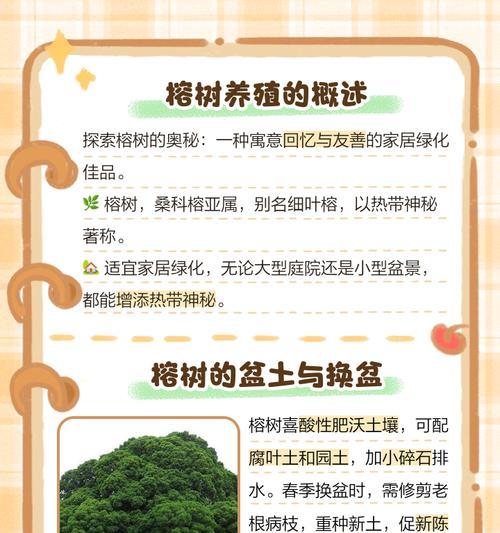榕树换土的最佳时机是什么时候？换土步骤有哪些？