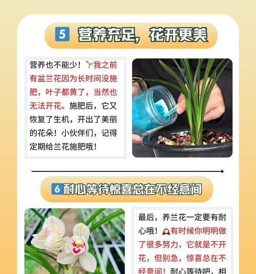如何鉴别常见兰花品种？兰花品种有哪些特点？