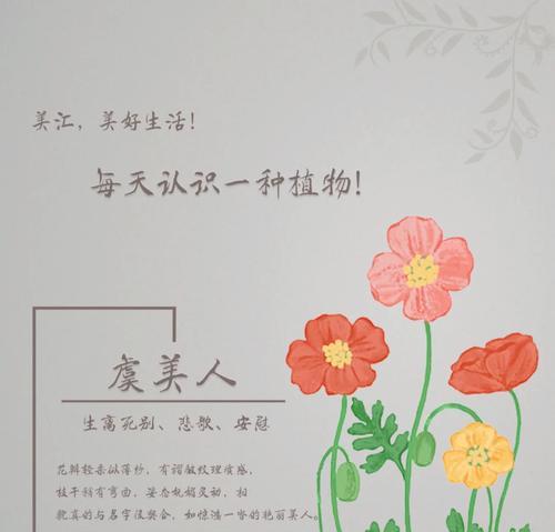 虞美人品种有哪些特性？如何养护虞美人？