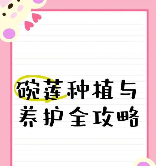 观赏莲的养殖方法和注意事项是什么？