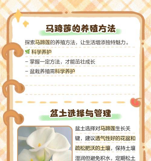 观赏莲的养殖方法和注意事项是什么？