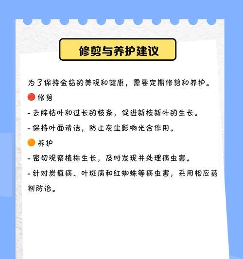 金钻繁殖方法是什么？如何确保成活率？