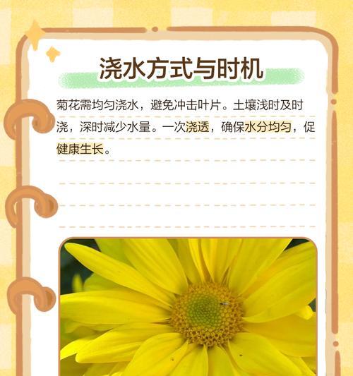 怎么给花浇水？花卉浇水的正确方法和注意事项是什么？