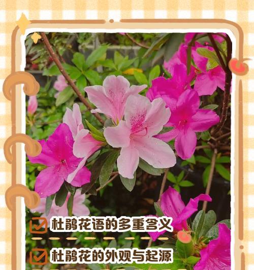 吸毒草繁殖技巧是什么？