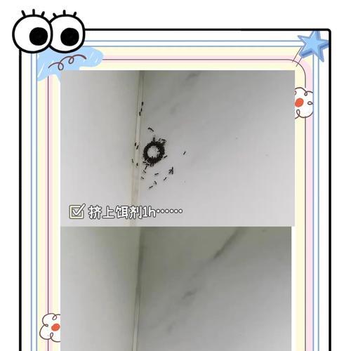 花盆中的蚂蚁如何清除？有哪些有效的方法？