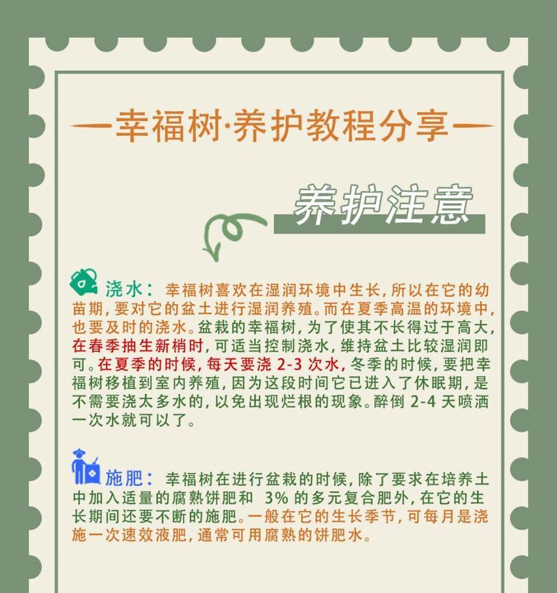 大幸福树修剪方法是什么？如何修剪才能促进生长？