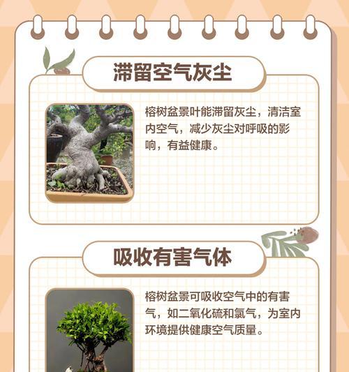 榕树盆景生虫了怎么办？如何进行有效防治？