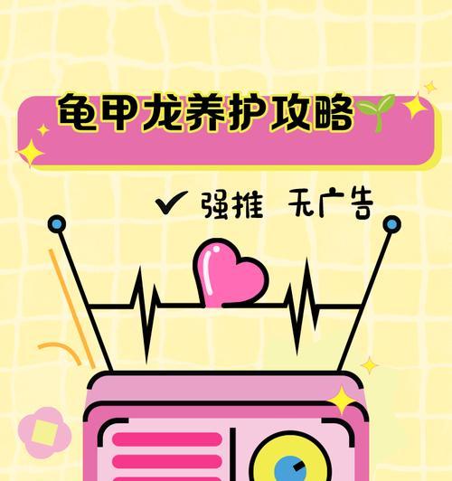 龟甲龙品种介绍及养护方法？哪种龟甲龙品种最稀有？