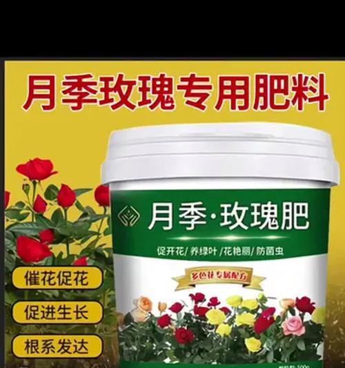 月季催花的方法有哪些？