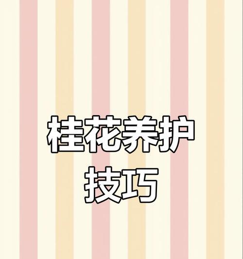 北方桂花的养护要点是什么？如何应对冬季低温？