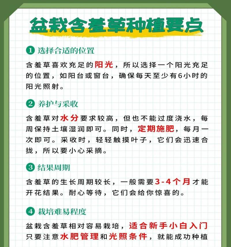 含羞草播种的最佳时间和方法是什么？