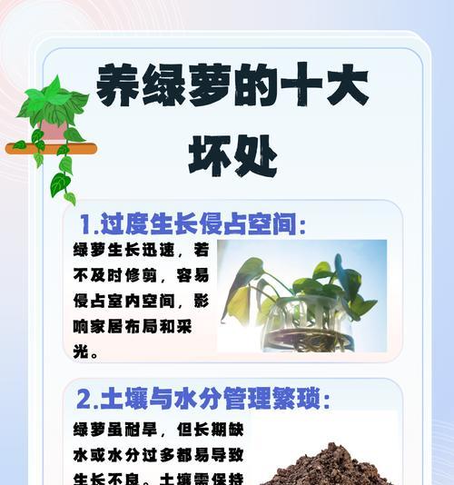 大绿萝烂根的急救措施有哪些？