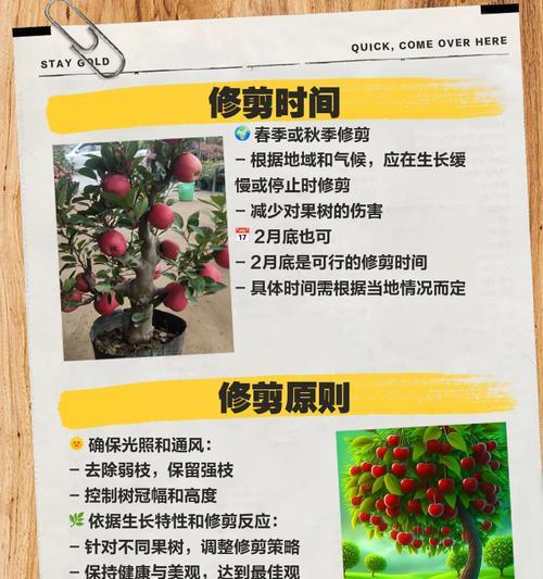 盆栽换盆的最佳时机和步骤是什么？