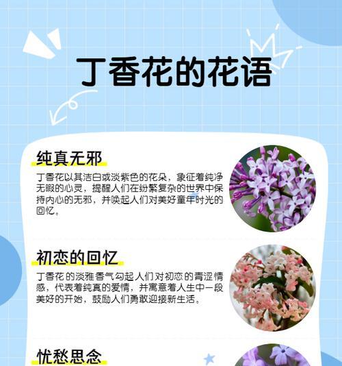 豆瓣绿根部腐烂的常见原因及解决办法是什么？