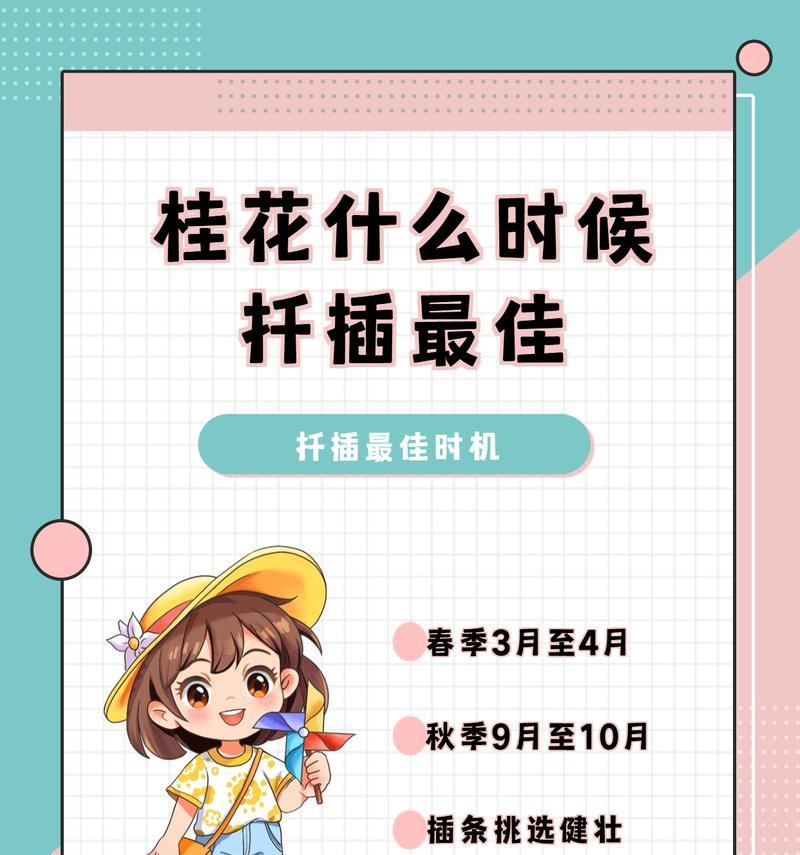 桂花扦插的成功秘诀是什么？扦插后如何管理？