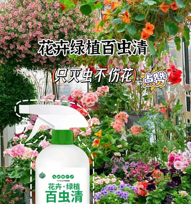 养的花有虫子怎么办？如何处理和预防？