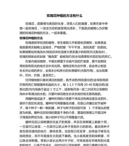 小玫瑰的养殖技巧和注意事项有哪些？