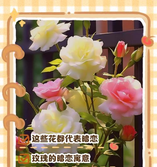 翠竹的养殖方法和护理要点是什么？