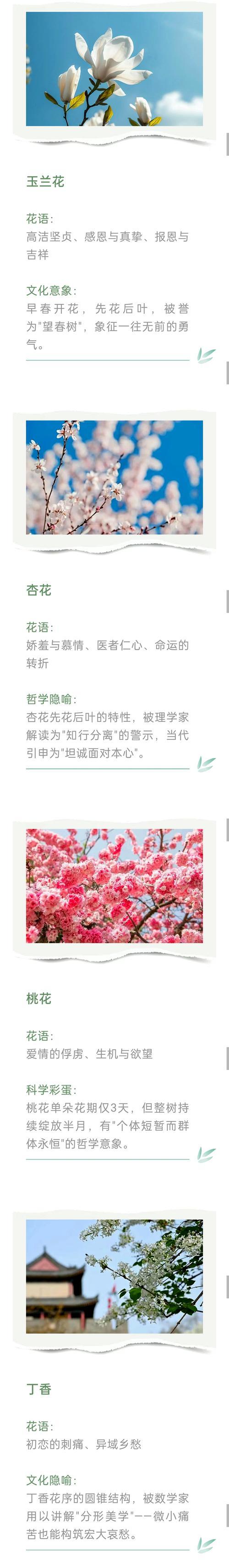 翠竹的养殖方法和护理要点是什么？