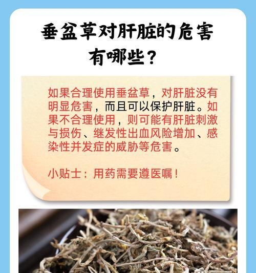 垂盆草有哪些品种？如何选择适合自己的品种？