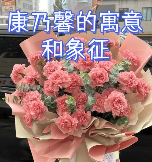 怎么样的康乃馨最受欢迎？如何挑选和养护康乃馨？