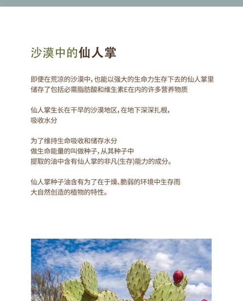 仙人掌种子播种技巧有哪些？如何提高发芽率？