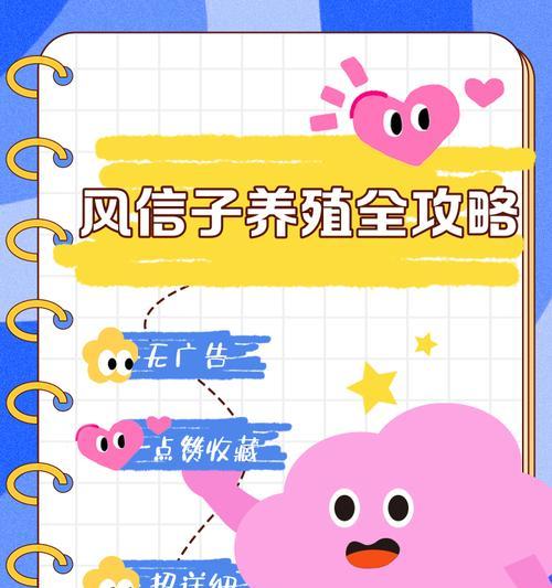 风信子怎么养？有哪些注意事项？