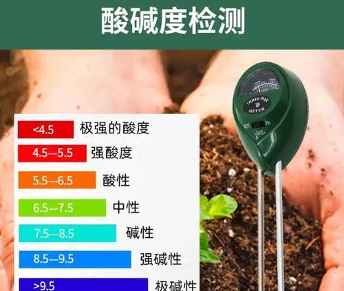 酸性土质的制作方法和步骤是什么？