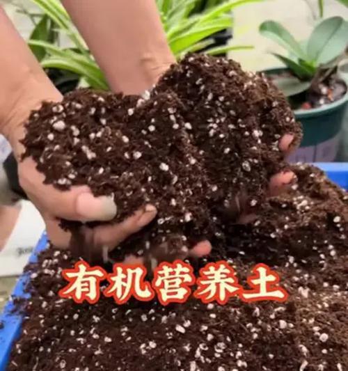 自制花土的配方和步骤是什么？