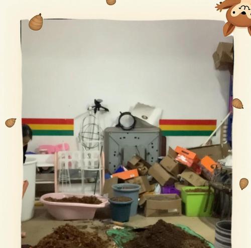 自制花土的配方和步骤是什么？